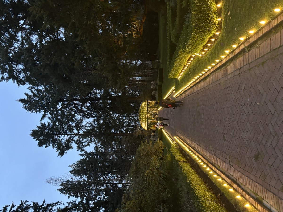 Holiday Light Installation